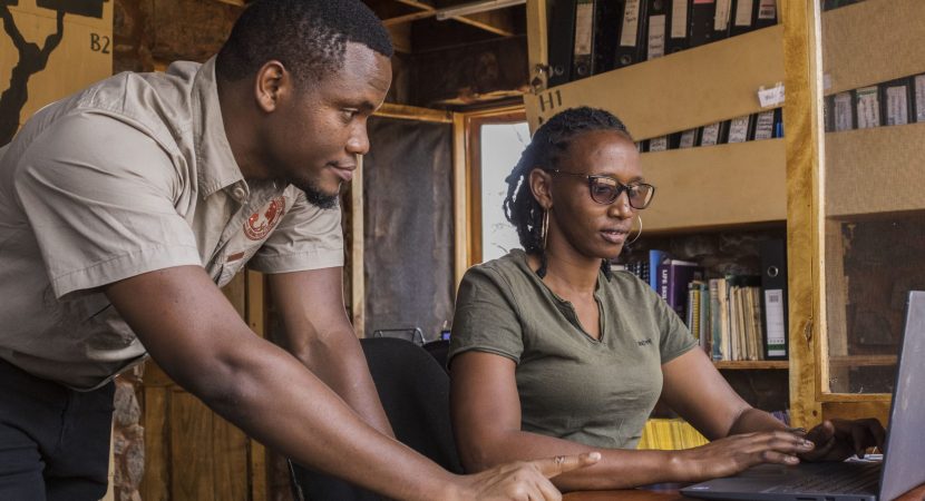 monitoring-team-credit-apw-emily-paul